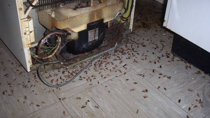 3ae4756069a75b04febb8e53f89de3f5